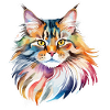 Aquarelles Maine Coon