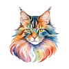 Aquarelles Maine Coon