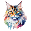 Aquarelles Maine Coon