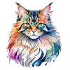 Aquarelles Maine Coon