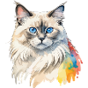 Birmakatze Wasserfarben