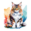 Aquarelles Maine Coon