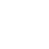 Inspector as Education