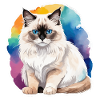 Birmakatze Wasserfarben