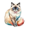 Birmakatze Wasserfarben