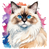Birmakatze Wasserfarben