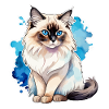 Birmakatze Wasserfarben