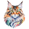 Aquarelles Maine Coon
