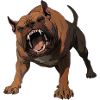 Aggressive Pitbull - Pitbulldesign