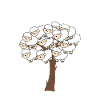 Coton - Mouton Design