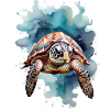 Sea's turtle under water