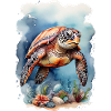 Sea's turtle under water