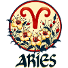 Aries Zodiac