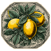 Lebensmittel / Obst / Markt / Vitamine / Design