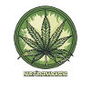 Smoking Cannabis: Adults Only