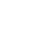 Limited Edition 1995