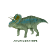 ANCHICERATOPS