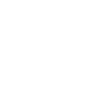 Limited Edition 1977