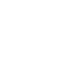 Limited Edition 1983