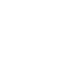 Limited Edition 1979
