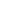 Limited Edition 1984