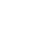 Limited Edition 1980