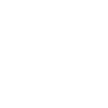 Limited Edition 1982