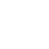 Limited Edition 1985