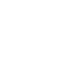 Limited Edition 1991
