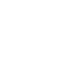 Limited Edition 1990