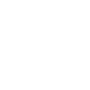 Édition limitée 1993