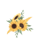 Sonnenblume Blumen k Buchstabe