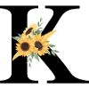 Sonnenblume Blumen k Buchstabe