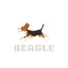 chien de race beagle