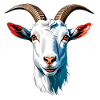Bouc