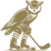 Eule Eishockey Nachtsport Design