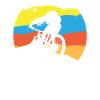 VTT rétro VTT