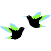 Hummingbird 02