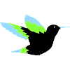 hummingbird