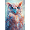 Hibou