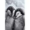 Pingouin