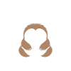 Animal humour paresseux
