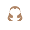 Animal humour paresseux