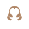 Animal humour paresseux