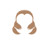 Animal humour paresseux