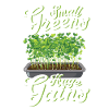 Microgreen Agriculture Gardening