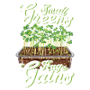 Microgreen Agriculture Gartenarbeit