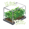 Microgreen Agriculture Gartenarbeit