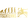 Evolution Tischtennis