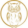 Owl Graphic Owl Graphic
